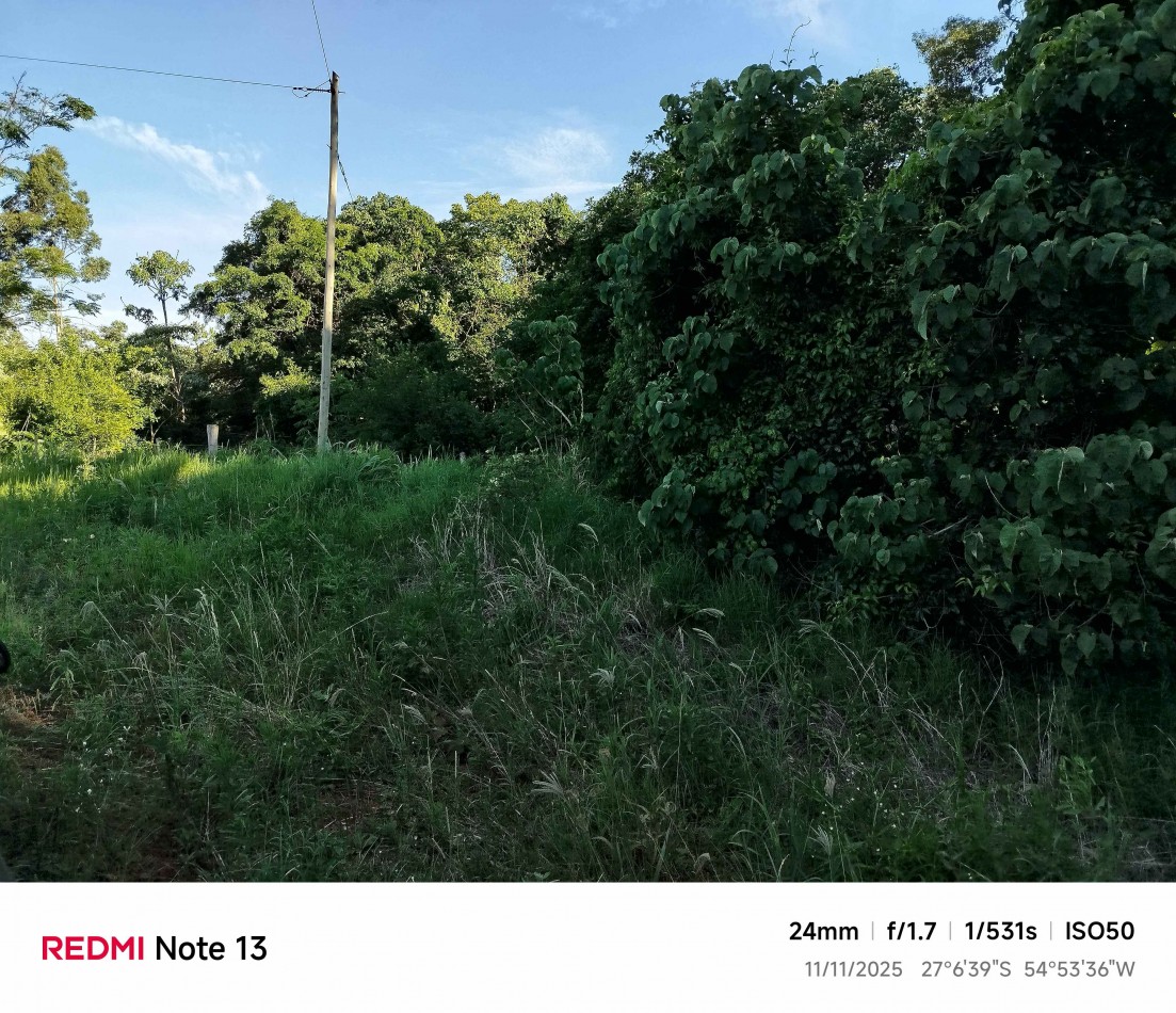 8 hectareas en venta a pasitos de Ruta 14 Aristobulo del Valle