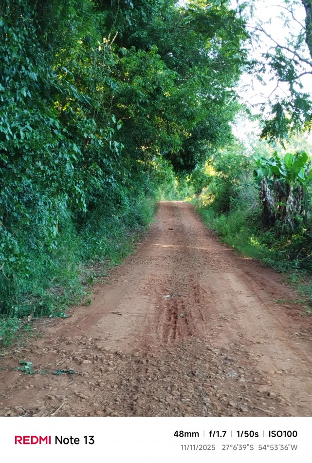 8 hectareas en venta a pasitos de Ruta 14 Aristobulo del Valle