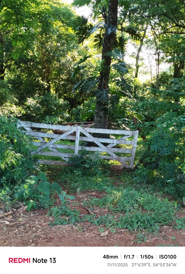 8 hectareas en venta a pasitos de Ruta 14 Aristobulo del Valle