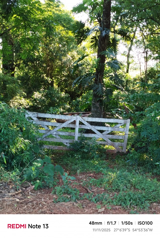 8 hectareas en venta a pasitos de Ruta 14 Aristobulo del Valle