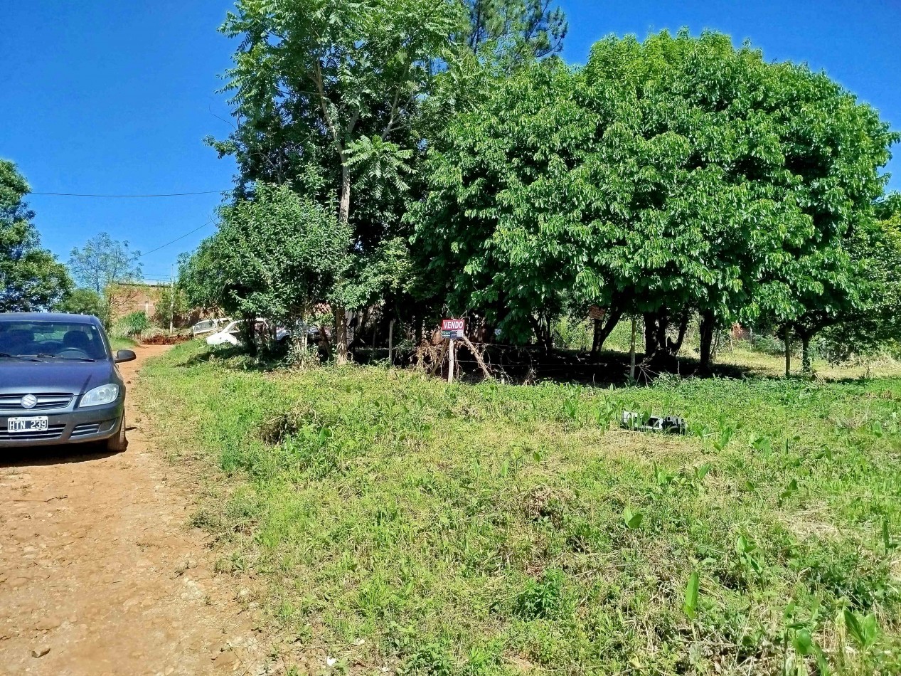 Terreno amplio alto y nivelado