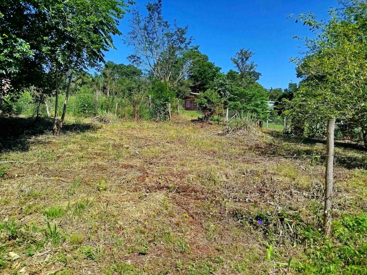 Terreno amplio alto y nivelado