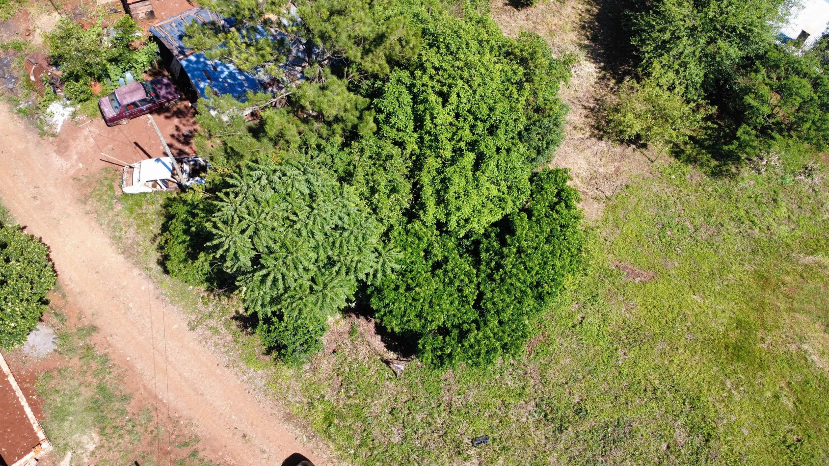 Terreno amplio alto y nivelado