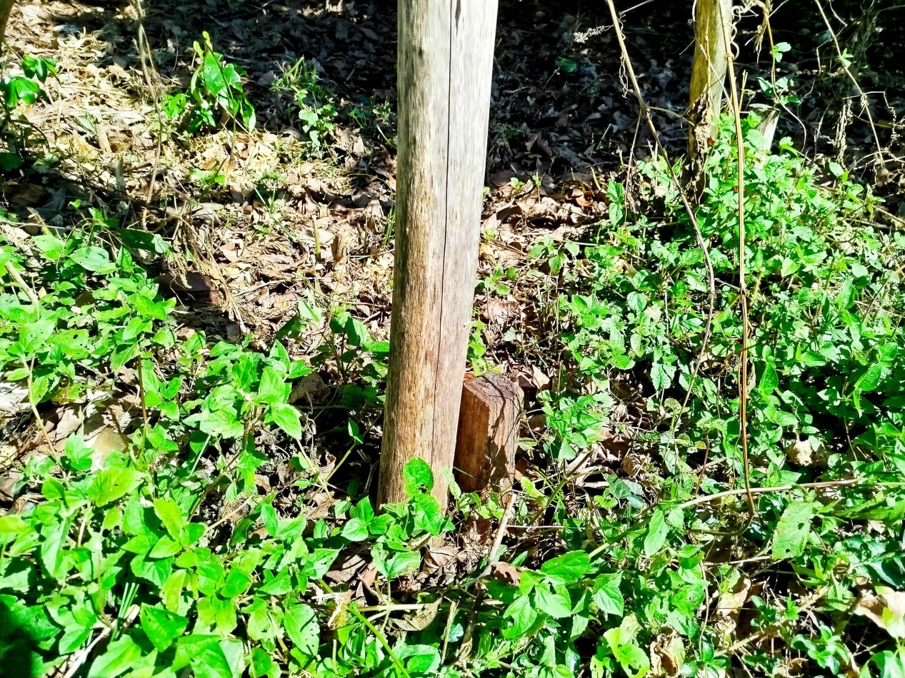 Terreno amplio alto y nivelado