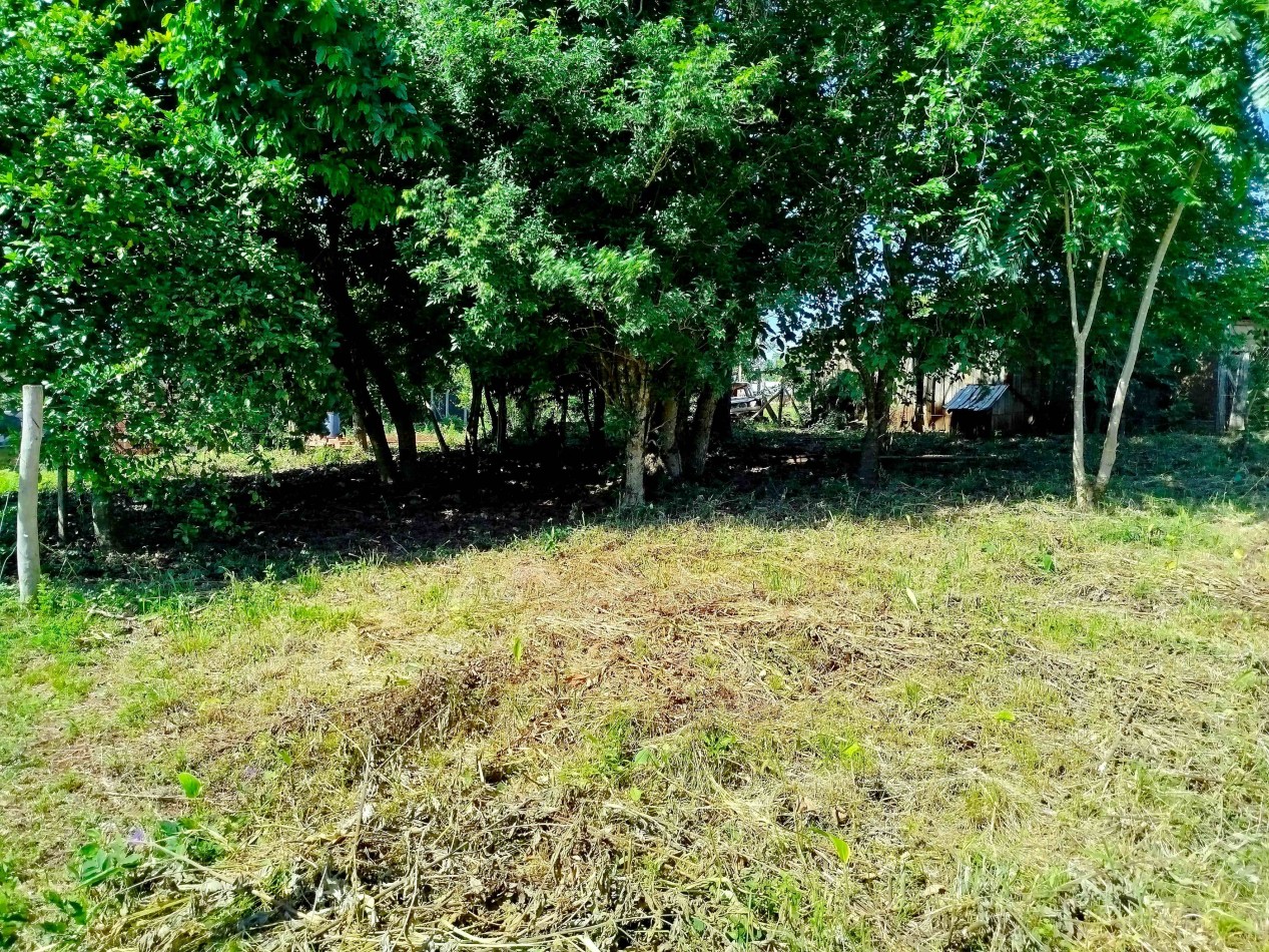 Terreno amplio alto y nivelado