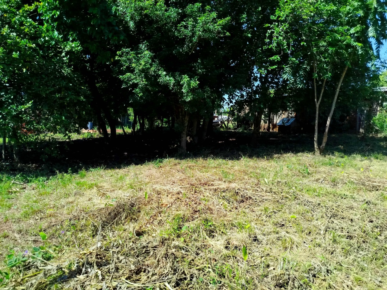 Terreno amplio alto y nivelado