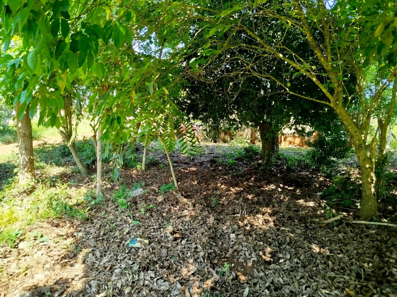 Terreno amplio alto y nivelado