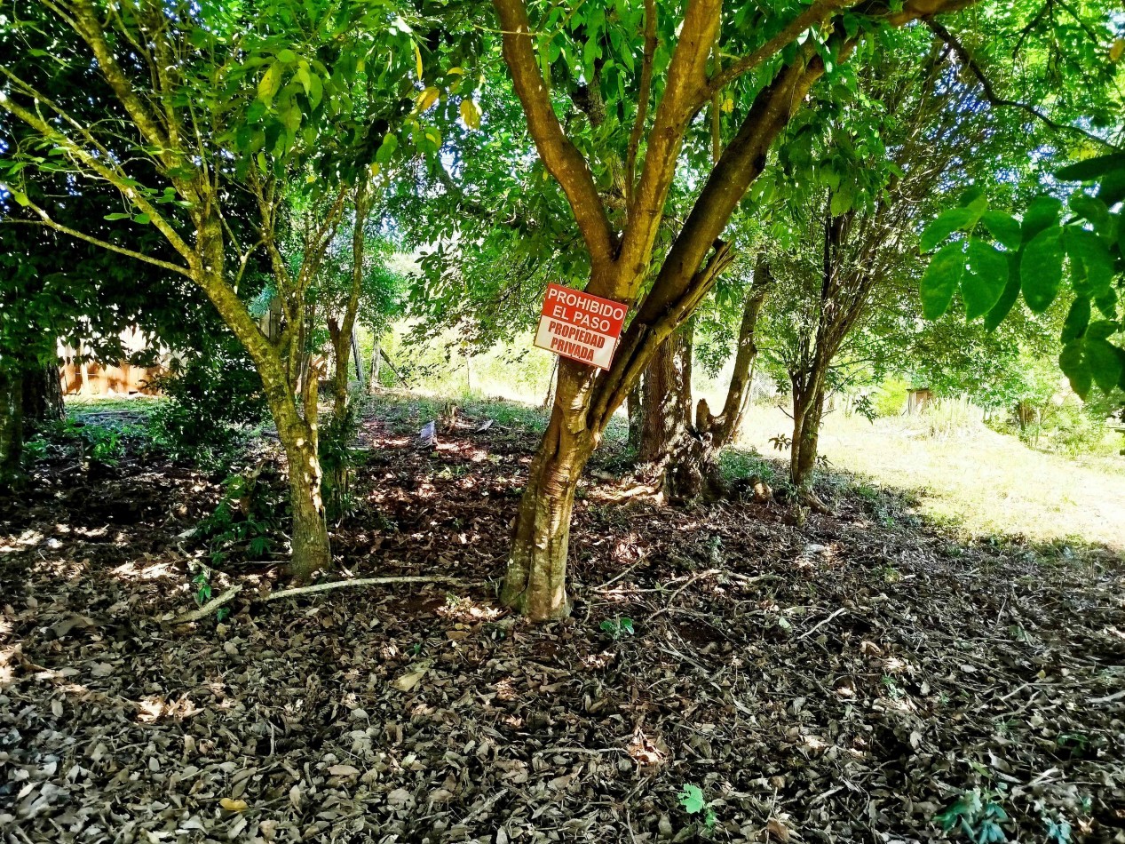 Terreno amplio alto y nivelado