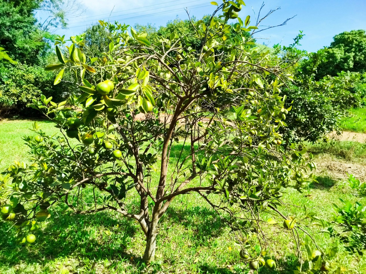 Casa grande en venta cerca de escuela de Comercio Barrio Norte esquina