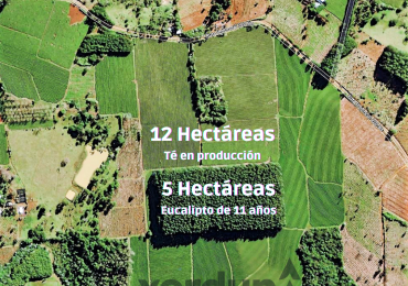 Chacra de 18 hectareas Cerro Moreno sobre Ruta Provincial 220 Bis